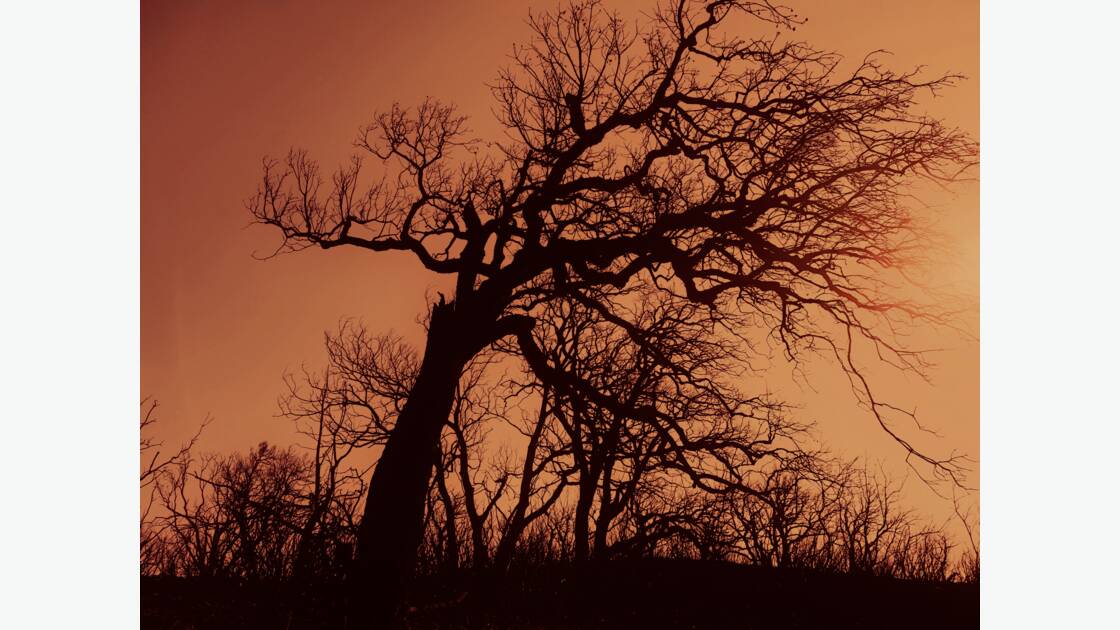 Var : après les flammes, le chaos.