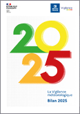 Bilan Vigilance 2025