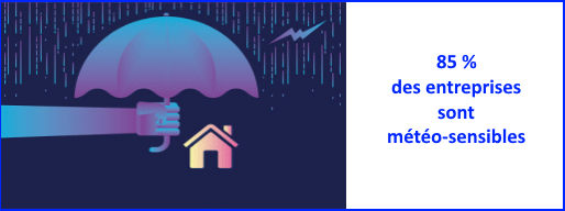 85 % des entreprises sont météo-sensibles.