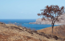 Ua Pou, un paradis jadis tropical.