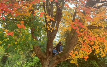 L'automne