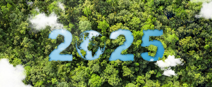 2025 : les bilans climatiques