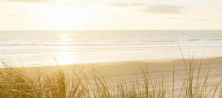 Dossier de presse été 2025