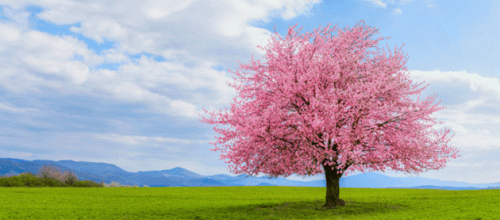 Bilan climatique d'avril 2025