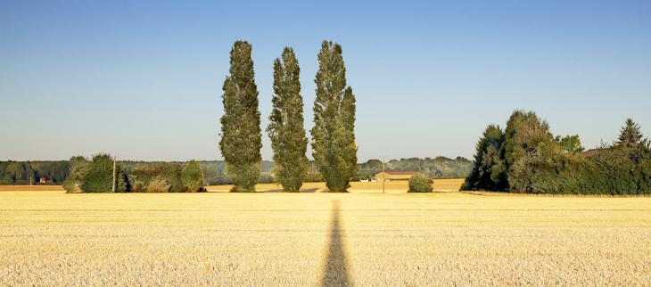 Tendances pour juin, juillet et août 2025.