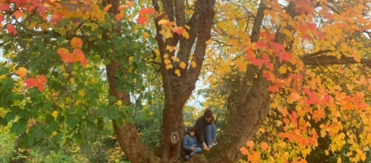 L'automne
