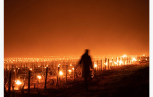 La vague de gel tardif du printemps dernier a été un électrochoc pour le monde agricole.