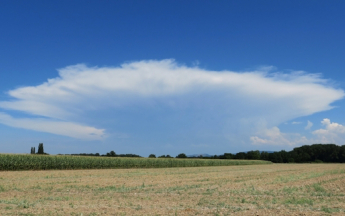 Chaleur et orages au menu de l'été 2024.