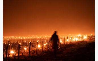 Les Ombres de la Côte-d'Or, de Thomas Derycke, remporte le prix du jury.