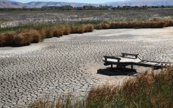 Le climat change. Il est plus que jamais crucial de disposer de données de qualité sur la période actuelle, mais aussi de poursuivre la récupération de données anciennes.