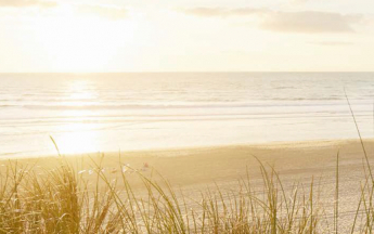 Dossier de presse été 2025