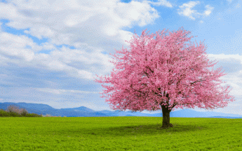 Bilan climatique d'avril 2025