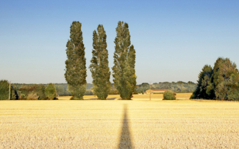 Tendances pour juin, juillet et août 2025.