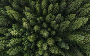 Lancement de la Météo des forêts : informer et sensibiliser le public au danger d'incendie