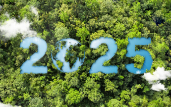 2025 : les bilans climatiques