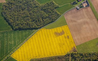 Climadiag Agriculture et Forêt