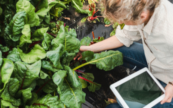 CANARI, un service climatique dédié à l'agriculture.