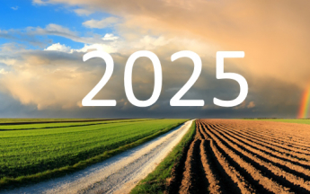 Bilan climatique de l’année 2025