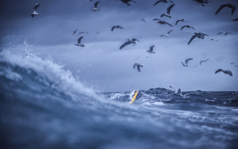 One Ocean Summit se tient à Brest du 9 au 11 février.