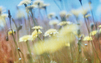 Printemps