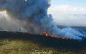 La Sibérie a subi en 2020 une vague de chaleur sans précédent provoquant des feux de forêt.
