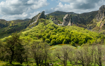 Vallée de Chaudefour, près de Le-Mont-Dore, Auvergne, France