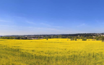 Bilan du printemps 2025