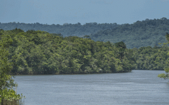 Rivière à travers la jungle, Roura, Guyane