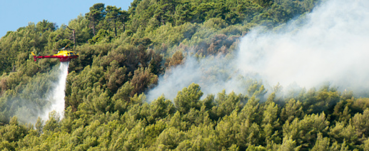 Illustration feux de forêt - © GettyImages