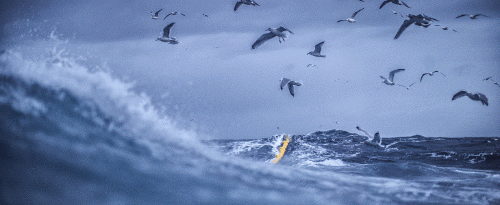 One Ocean Summit se tient à Brest du 9 au 11 février.