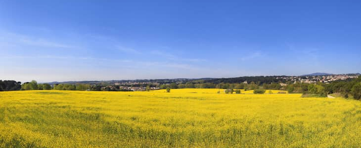 Bilan du printemps 2025