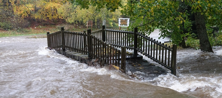 La Vaysse en crue au jardin botanique du Mazet-Saint-Voy (43) le 17 octobre 2024.