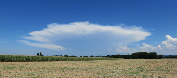 Chaleur et orages au menu de l'été 2024.