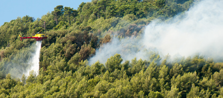 Illustration feux de forêt - © GettyImages