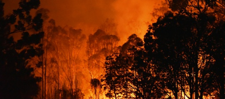 Illustration feux de forêt - © GettyImages
