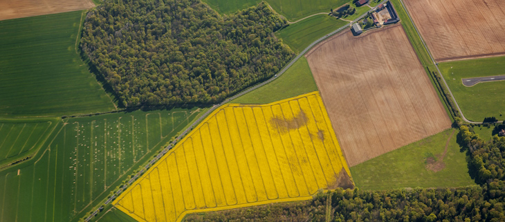 Climadiag Agriculture et Forêt