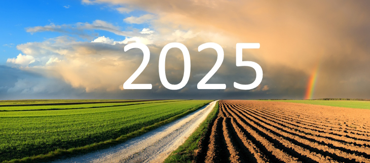 Bilan climatique de l’année 2025
