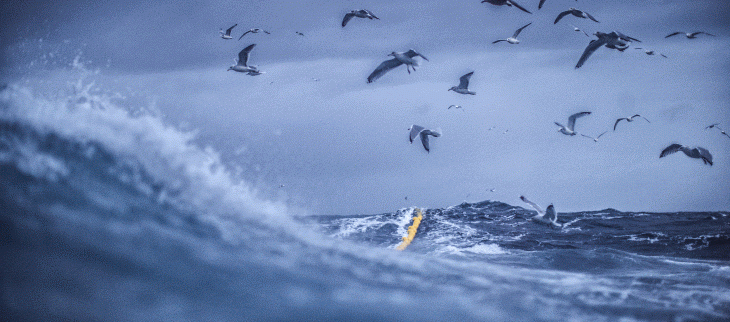 Illustration océan - © GettyImages