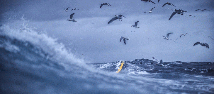 One Ocean Summit se tient à Brest du 9 au 11 février.