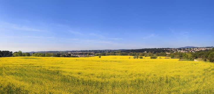 Bilan du printemps 2025 Bilan du printemps 2025