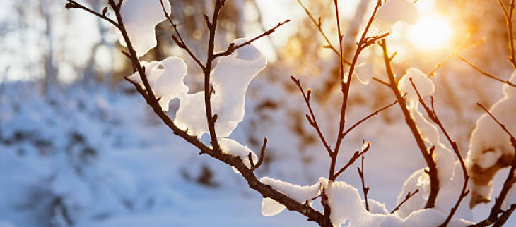 Formation "Prévision des phénomènes hivernaux"