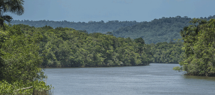 Rivière à travers la jungle, Roura, Guyane