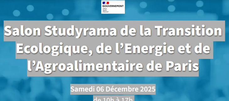 affiche salon studyrama