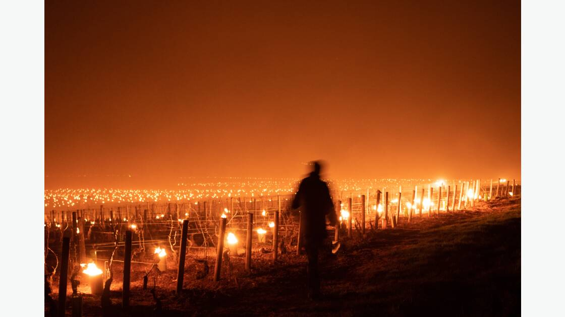 Prix du jury : " Les ombres de la Côte-d'Or " par Thomas Derycke. Prix du jury : " Les ombres de la Côte-d'Or " par Thomas Derycke.
