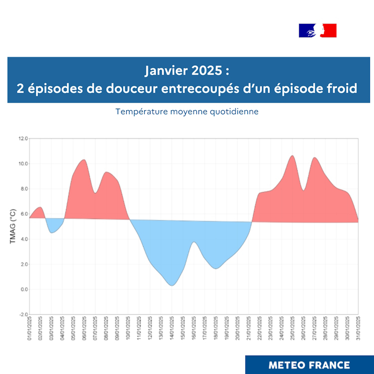 Températures moyennes quotidiennes en janvier 2025 © Météo-France